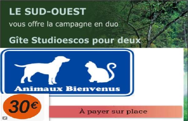 Gite Studioescos El Uno מראה חיצוני תמונה